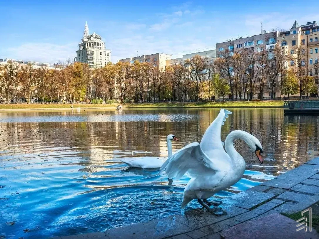 Патриарший пруд